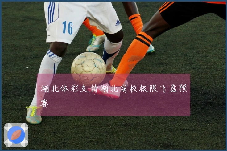 湖北体彩支持湖北高校极限飞盘预赛