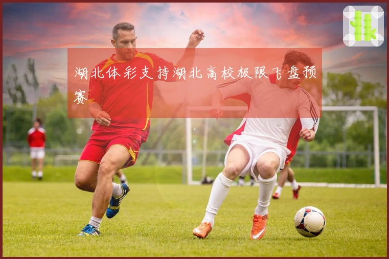 湖北体彩支持湖北高校极限飞盘预赛